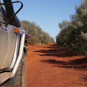 Early morning corrugations on the route west