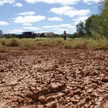 Signs of recent water at Tallaringa Well