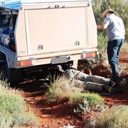 Of shit, there goes $500 worth of Toyo!