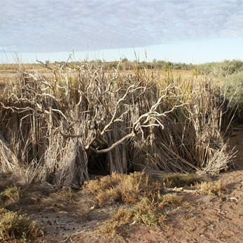Joanna Spring as visited on 19th June, 2009