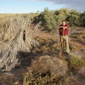 Joanna Spring - 19th June, 2009