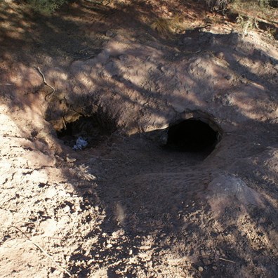 Midway Well - Talawana Track