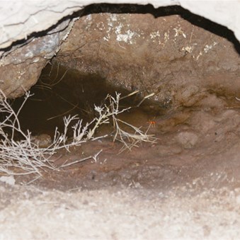 Water in Midaway Well - 2009