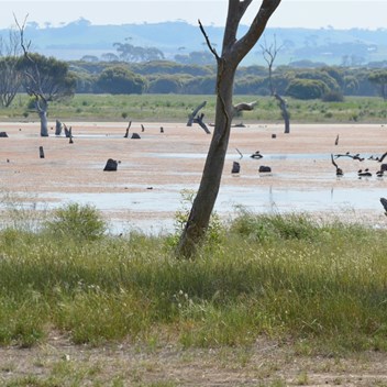 Discovery Lagoon south of Emu Bay 