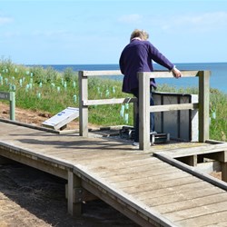 Boot Cleaning station on Ironstone Hill Hike 