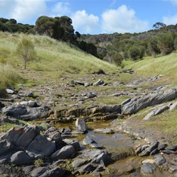 Small Creek Crossing on the Hike