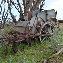 Old Horse Drawn Stripper 