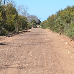 Doug Road -  Dudley Peninsula 