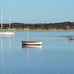 The View from our Tent 