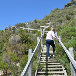 Only another 259 steps to go.who's counting 