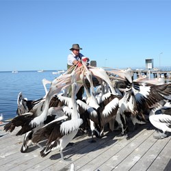 They all want their fair share 