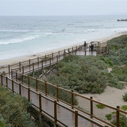 On the board walk leading towards the beach Seal Bay 