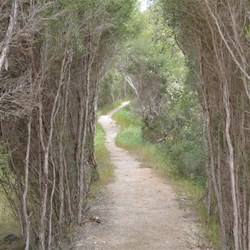 The start of the Murray Lagoon hike 