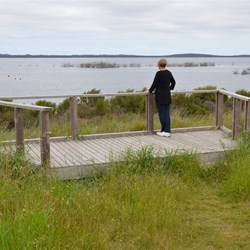 Bald Hill hike overlooking Murray Lagoon 