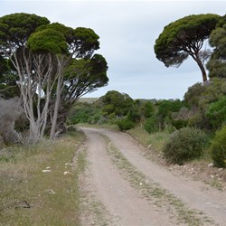 Stevens Road - South East Emu Bay 