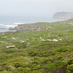 Heavy sea mist over Seal Bay 