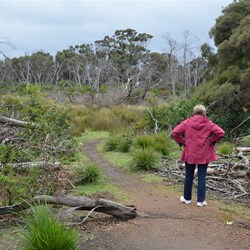 Start of the Platypus Walk 