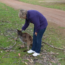Rule number 1, it does not matter how cute the locals are, don't make friends with them 