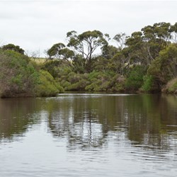 Kayaking on the Harriet River 