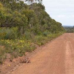 Harriet Road and roadside colours 