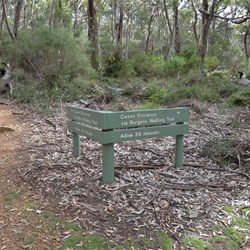 On May Walk, Kelly Caves Conservation Park 