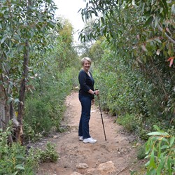 On the Snake Lagoon Hike 