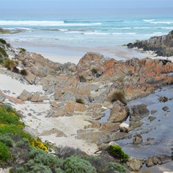 The were wildflowers right down to the beach 