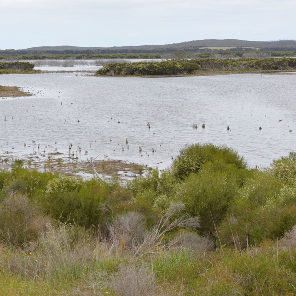 Murray Lagoon 
