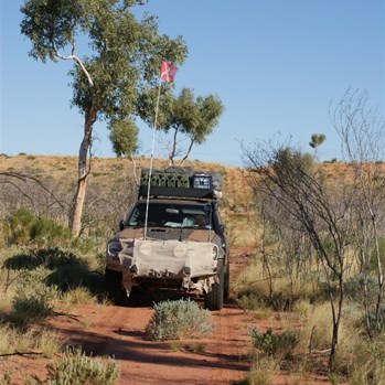 On the cut line heading north