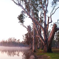 Broadwater Lagoon