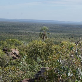 A view across the Drysdale to the neighbouring Carson Escarpment