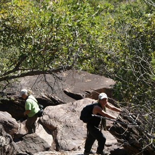 Bindy the eco-warrior climbing down towards the river