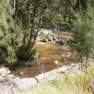 Creek on the Old Glen Innes Road