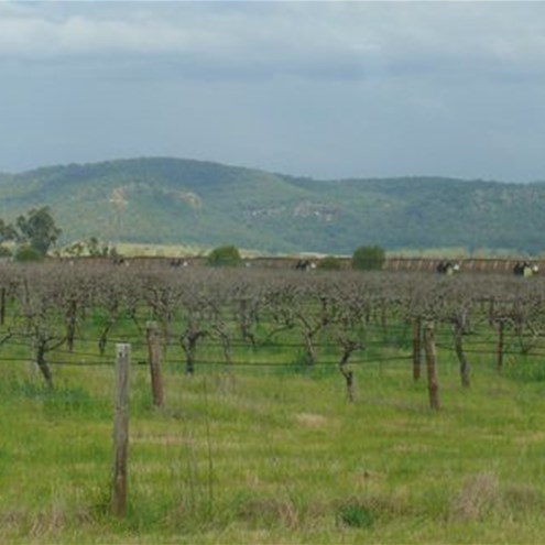Approaching Bylong Valley - vineyards and coal trains