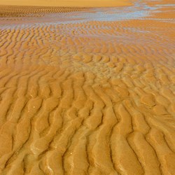Patterns in the sand
