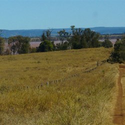 The track into Nuga Nuga National Park