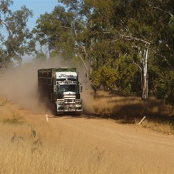 The roads were busy with cattle movement