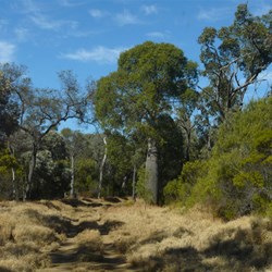 A good track to the camping area