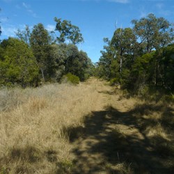 The track continues through the grass