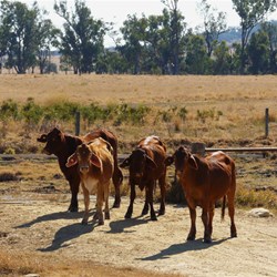 Now what are you doing in the park?