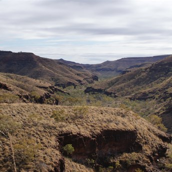 Bee Gorge From half way up the Western Catwalk