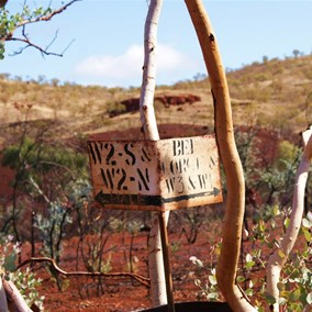 Indecipherable signs