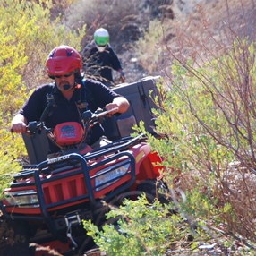 Bashing the undergrowth of the Eastern Catwalk