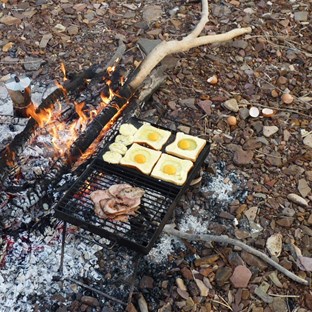 Breakfast of champions