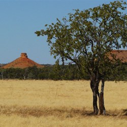 Flat top messas along the Diamantina River Road