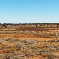 Gum Hole Yards - Warracoota Circuit Drive