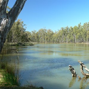 The river here was just below the top of the banks