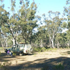 A camp in some dry woodland