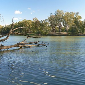 Murray River near Tocumwal