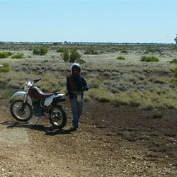 Bobby, the Boundary Rider - Mooraberree Station